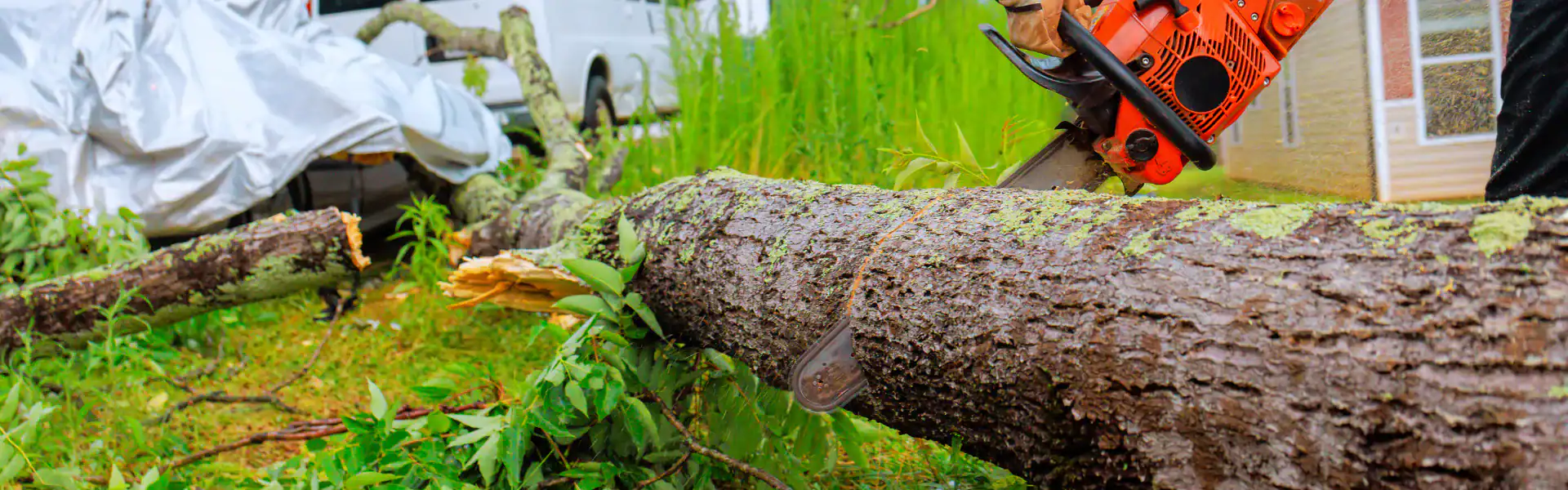 A person using an orange chainsaw to cut a fallen tree trunk outdoors, with green grass, plants, and a vehicle covered with a tarp in the background—ideal for an Excavation Contractor Suffolk County, NY scene.