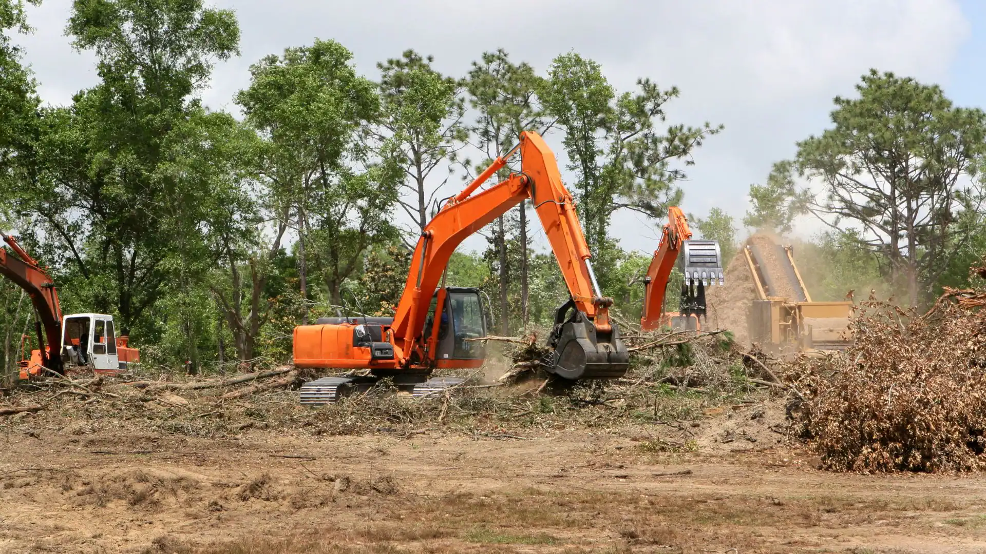 Two orange excavators, operated by an Excavation Contractor Suffolk County, are clearing land and removing trees and debris, with dust rising in the background. The scene unfolds in NY in a partially wooded area under a cloudy sky.
