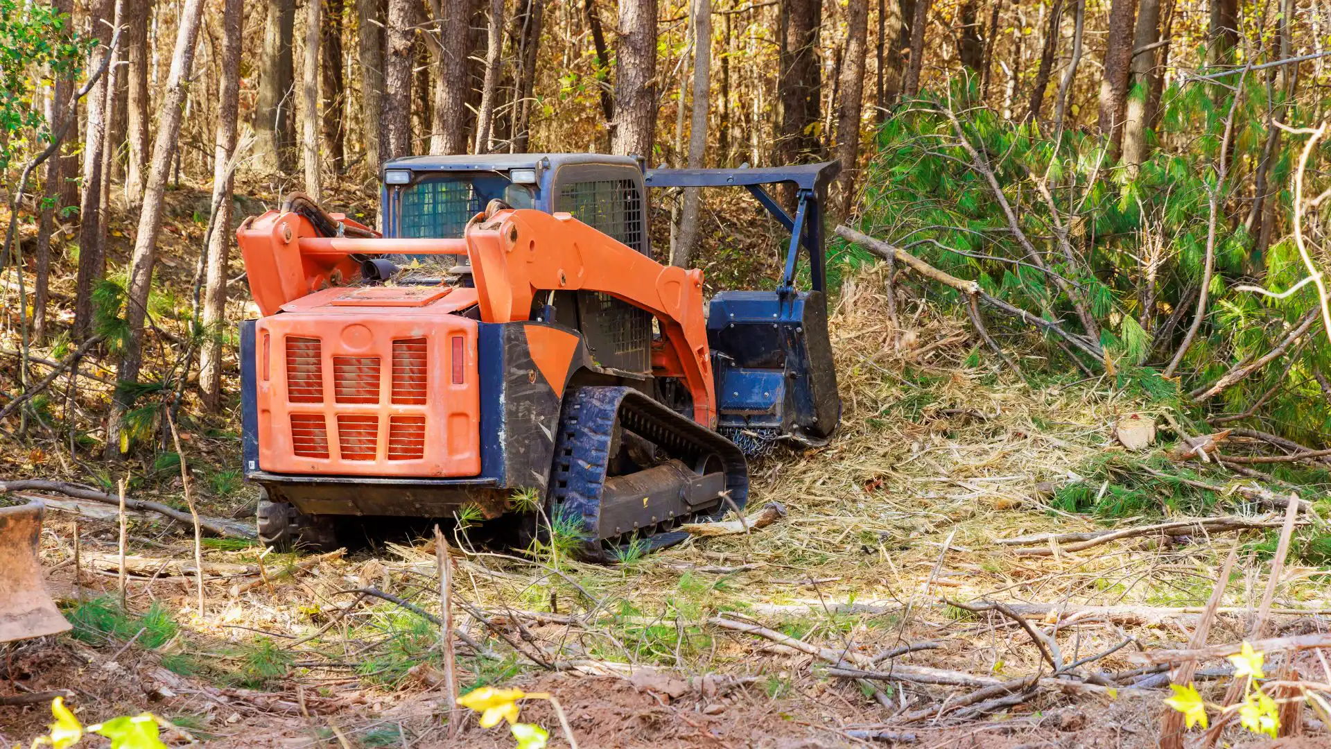 An orange skid steer loader with black tracks, operated by an expert excavation contractor in Suffolk County, NY, is clearing brush and small trees in a forested area surrounded by fallen branches and pine needles.