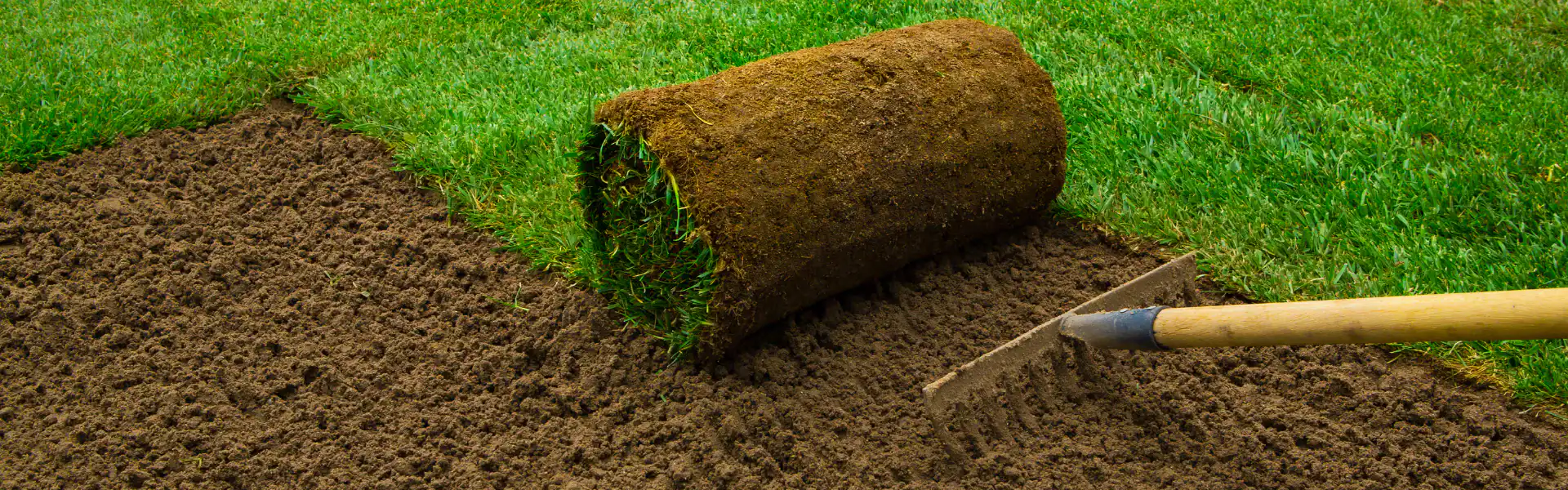 A close-up of a rolled-up section of sod being laid onto soil, with a gardening rake smoothing the dirt beside it—work expertly prepared by an Excavation Contractor in Suffolk County, NY.