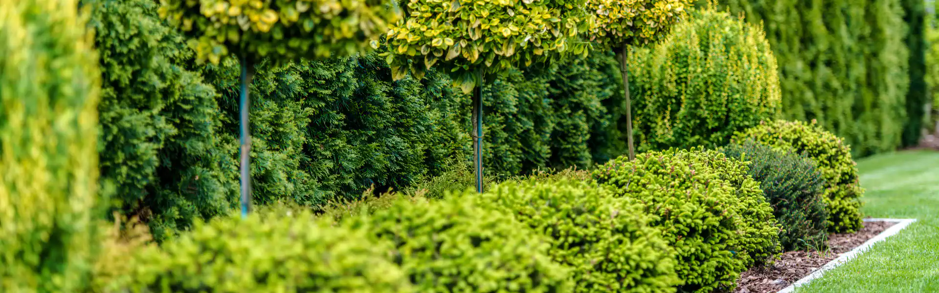 A well-maintained NY garden with neatly trimmed shrubs, small topiary trees, and lush green hedges lining a manicured lawn—perfectly prepped by an Excavation Contractor Suffolk County.