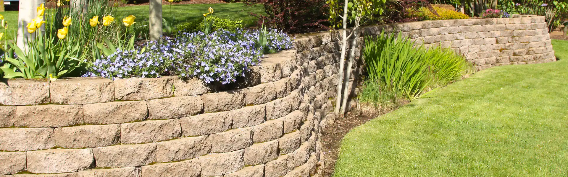 A curved stone retaining wall in a landscaped garden by an Excavation Contractor Suffolk County, NY, with yellow tulips and purple flowers on top, green grass, and various shrubs in the background.