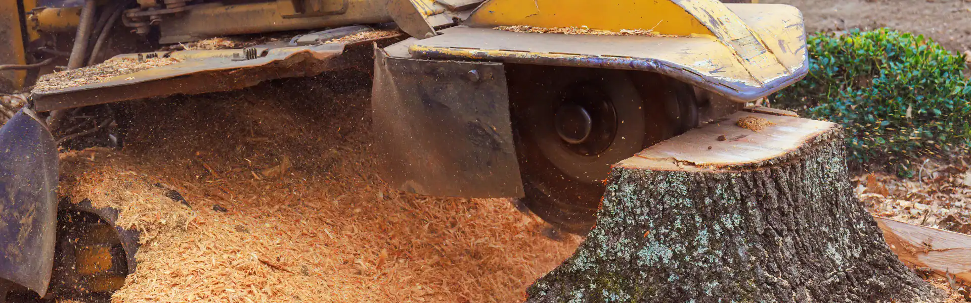A stump grinder machine shaves down a large tree stump, producing wood chips and sawdust in NY, with the remaining stump and part of the yellow Excavation Contractor Suffolk County machine visible.