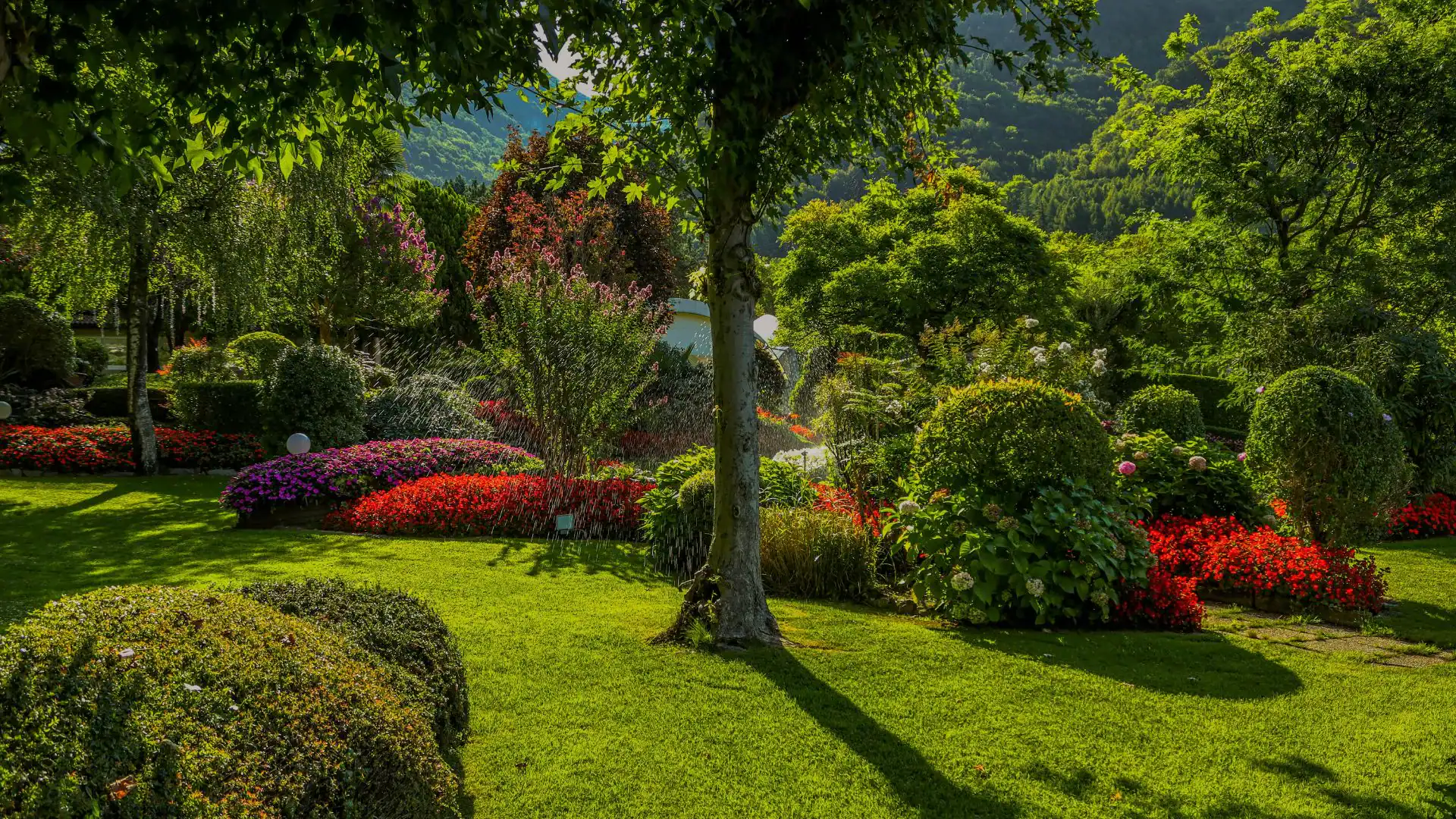A sunlit NY garden with trimmed bushes and vibrant flowerbeds by Excavation Contractor Suffolk County.